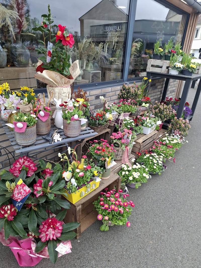 Présentoir extérieur de la boutique avec plantes et fleurs de saison